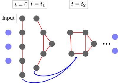 Mimetic Neural Networks: A Unified Framework for Protein Design and Folding